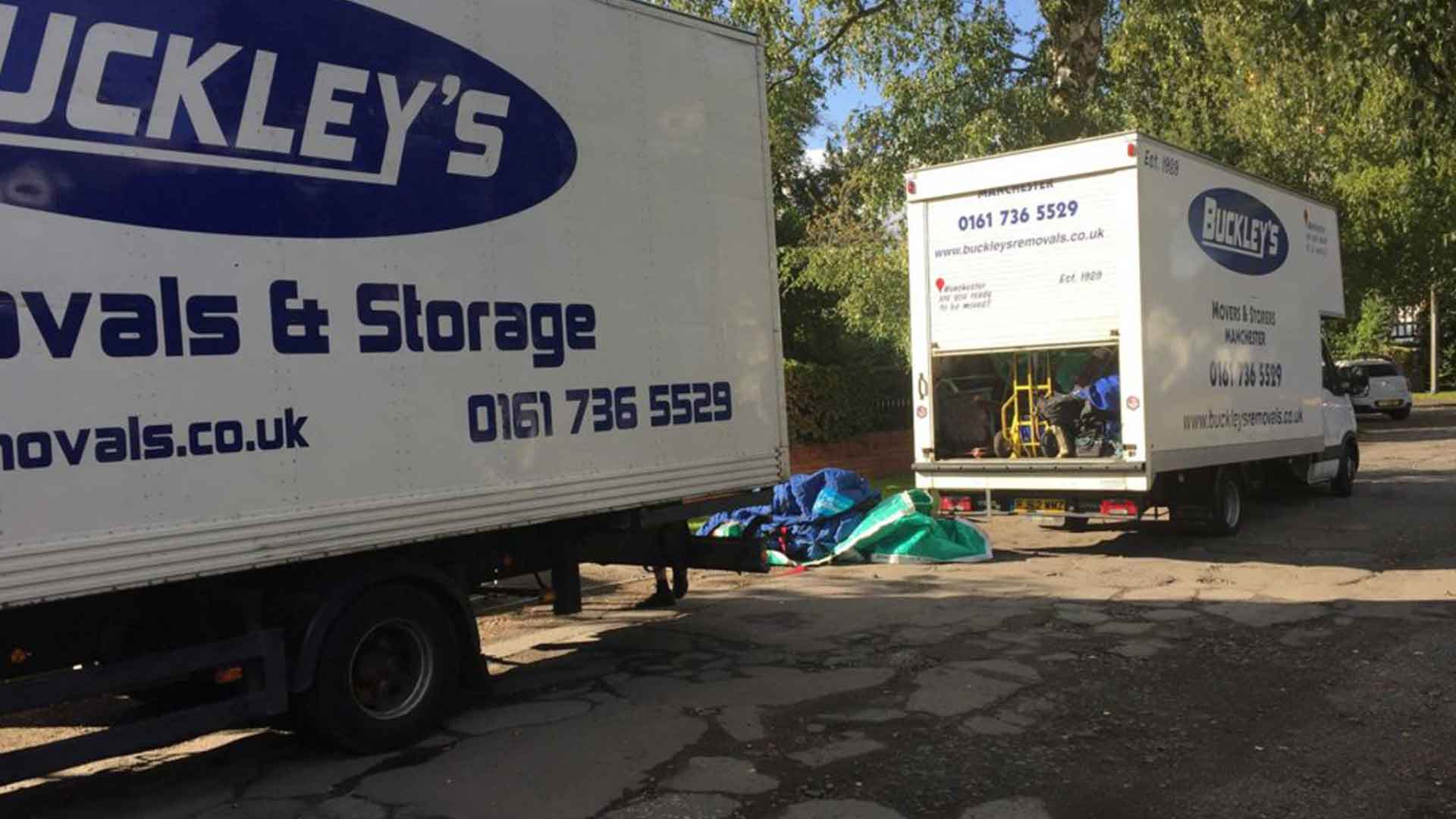 buckleys moving company in action